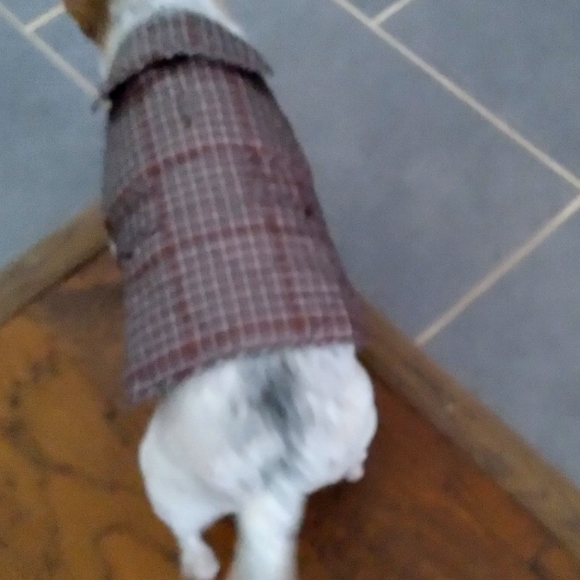 St. John's Bark Dog Coat - Picture 3 of 7